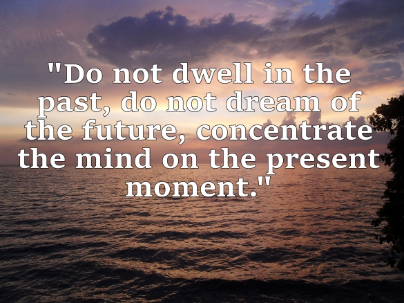 "Do not dwell in the past, do not dream of the future, concentrate the mind on the present moment."